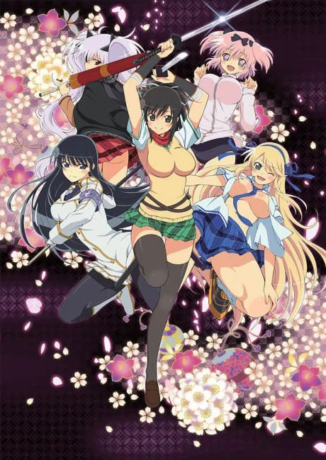 Senran Kagura: Ninja Flash